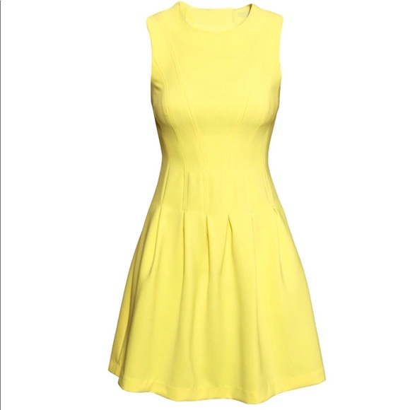 H&M Sunny Sleeveless Pleated Fit Skater Dress - Picture 1 of 15